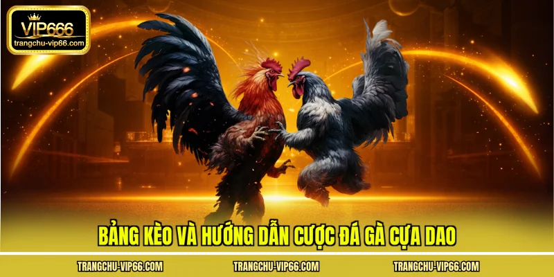 Bảng kèo và hướng dẫn cược đá gà cựa dao