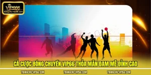 Cá cược bóng chuyền