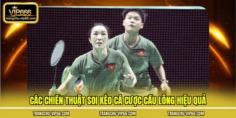 Các chiến thuật soi kèo cá cược cầu lông hiệu quả