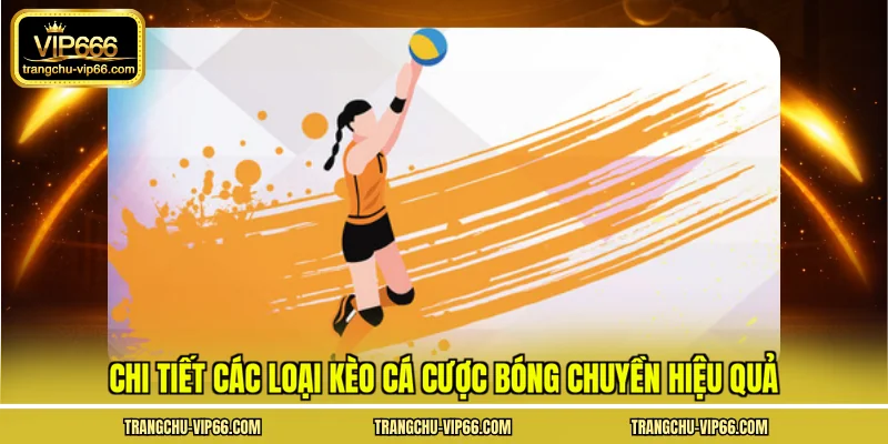 Chi tiết các loại kèo cá cược bóng chuyền hiệu quả