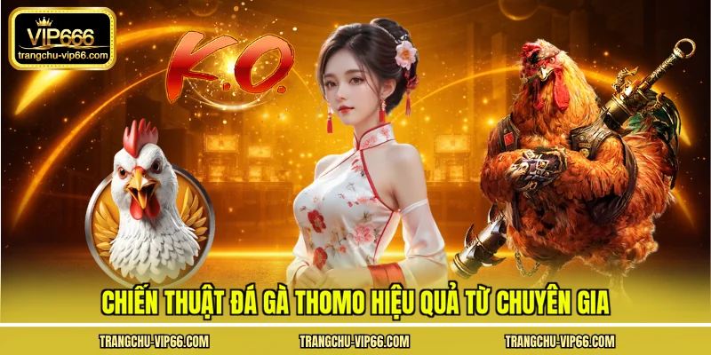 Chiến thuật đá gà Thomo hiệu quả từ chuyên gia 