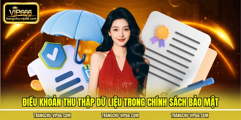 Điều khoản thu thập dữ liệu trong chính sách bảo mật
