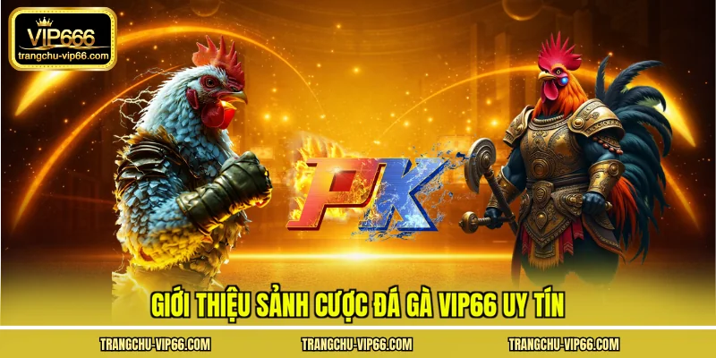 Giới thiệu sảnh cược đá gà VIP66 uy tín