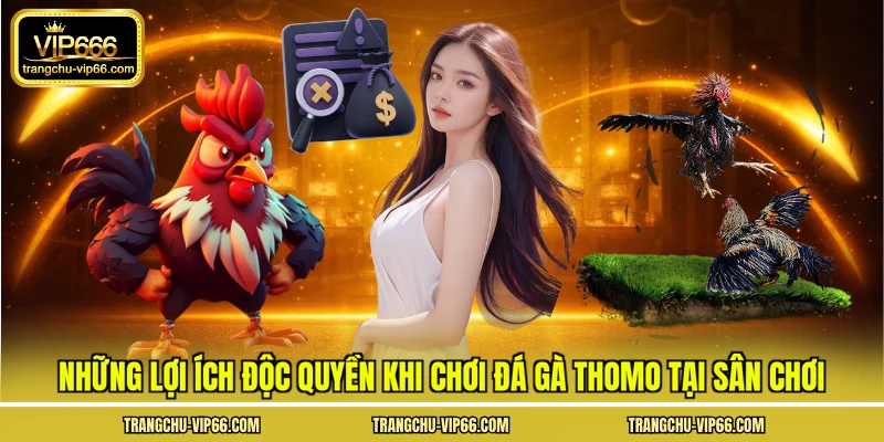 Những lợi ích độc quyền khi chơi đá gà thomo tại sân chơi